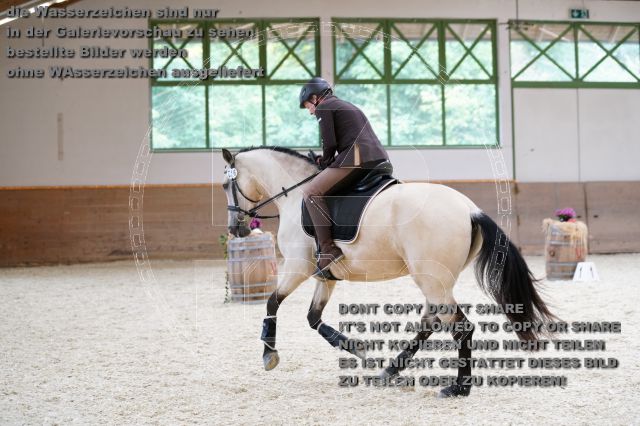 s_K3F03019.JPG